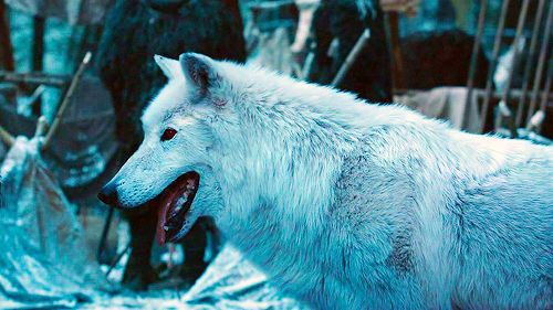 ghost-jon-snow-30527975-500-281